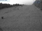 Archiv Foto Webcam Predigtstuhl, St. Englmar 03:00