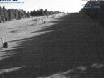 Archiv Foto Webcam Predigtstuhl, St. Englmar 03:00