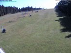 Archiv Foto Webcam Predigtstuhl, St. Englmar 13:00