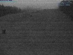 Archiv Foto Webcam Predigtstuhl, St. Englmar 19:00