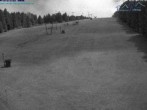 Archiv Foto Webcam Predigtstuhl, St. Englmar 03:00