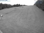 Archiv Foto Webcam Predigtstuhl, St. Englmar 17:00