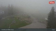 Archiv Foto Webcam Restaurant Brandlstadl, Scheffau 14:00