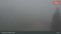 Archiv Foto Webcam Restaurant Brandlstadl, Scheffau 16:00