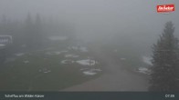 Archiv Foto Webcam Restaurant Brandlstadl, Scheffau 07:00
