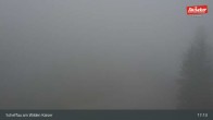 Archiv Foto Webcam Restaurant Brandlstadl, Scheffau 16:00