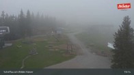 Archiv Foto Webcam Restaurant Brandlstadl, Scheffau 18:00