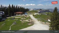 Archiv Foto Webcam Restaurant Brandlstadl, Scheffau 12:00