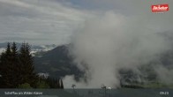 Archiv Foto Webcam Restaurant Brandlstadl, Scheffau 08:00