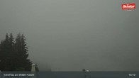 Archiv Foto Webcam Restaurant Brandlstadl, Scheffau 16:00