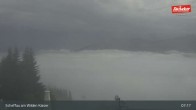 Archiv Foto Webcam Restaurant Brandlstadl, Scheffau 06:00