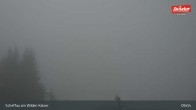Archiv Foto Webcam Restaurant Brandlstadl, Scheffau 08:00