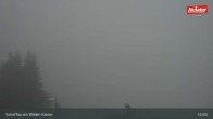 Archiv Foto Webcam Restaurant Brandlstadl, Scheffau 12:00