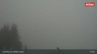 Archiv Foto Webcam Restaurant Brandlstadl, Scheffau 14:00