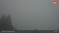 Archiv Foto Webcam Restaurant Brandlstadl, Scheffau 07:00