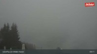 Archiv Foto Webcam Restaurant Brandlstadl, Scheffau 08:00
