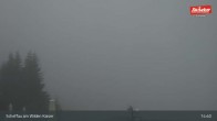 Archiv Foto Webcam Restaurant Brandlstadl, Scheffau 14:00