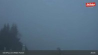 Archiv Foto Webcam Restaurant Brandlstadl, Scheffau 04:00