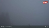 Archiv Foto Webcam Restaurant Brandlstadl, Scheffau 08:00