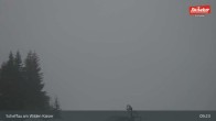 Archiv Foto Webcam Restaurant Brandlstadl, Scheffau 08:00