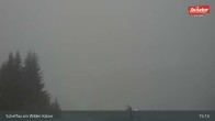 Archiv Foto Webcam Restaurant Brandlstadl, Scheffau 14:00