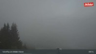Archiv Foto Webcam Restaurant Brandlstadl, Scheffau 08:00