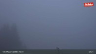 Archiv Foto Webcam Restaurant Brandlstadl, Scheffau 06:00