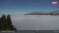 Archiv Foto Webcam Restaurant Brandlstadl, Scheffau 12:00