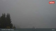 Archiv Foto Webcam Restaurant Brandlstadl, Scheffau 14:00