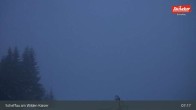 Archiv Foto Webcam Restaurant Brandlstadl, Scheffau 06:00