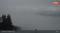 Archiv Foto Webcam Restaurant Brandlstadl, Scheffau 12:00