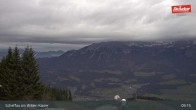 Archiv Foto Webcam Restaurant Brandlstadl, Scheffau 08:00