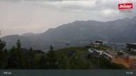 Archiv Foto Webcam Bergstation Hartkaiserbahn, Ellmau 14:00