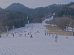 Archived image Webcam View on Draxlhang ski run 13:00