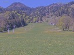 Archiv Foto Webcam Blick auf den Draxlhang 11:00