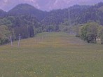 Archiv Foto Webcam Blick auf den Draxlhang 10:00