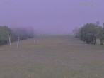 Archiv Foto Webcam Blick auf den Draxlhang 05:00
