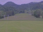 Archiv Foto Webcam Blick auf den Draxlhang 17:00