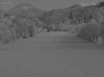 Archiv Foto Webcam Blick auf den Draxlhang 03:00