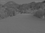 Archiv Foto Webcam Blick auf den Draxlhang 03:00