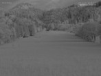 Archiv Foto Webcam Blick auf den Draxlhang 03:00