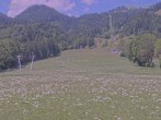 Archiv Foto Webcam Blick auf den Draxlhang 11:00