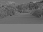 Archiv Foto Webcam Blick auf den Draxlhang 03:00