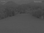 Archiv Foto Webcam Blick auf den Draxlhang 03:00