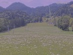Archiv Foto Webcam Blick auf den Draxlhang 13:00