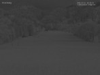 Archiv Foto Webcam Blick auf den Draxlhang 03:00