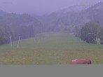 Archiv Foto Webcam Blick auf den Draxlhang 07:00