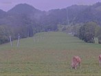 Archiv Foto Webcam Blick auf den Draxlhang 07:00