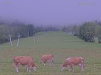 Archiv Foto Webcam Blick auf den Draxlhang 09:00