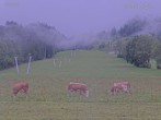 Archiv Foto Webcam Blick auf den Draxlhang 07:00